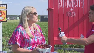 Georgia Strawberry Festival preview