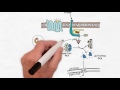 G Protein Signaling - Handwritten Cell & Molecular Biology