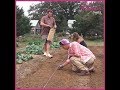 Veteran uses garden to provide free food for other vets in need