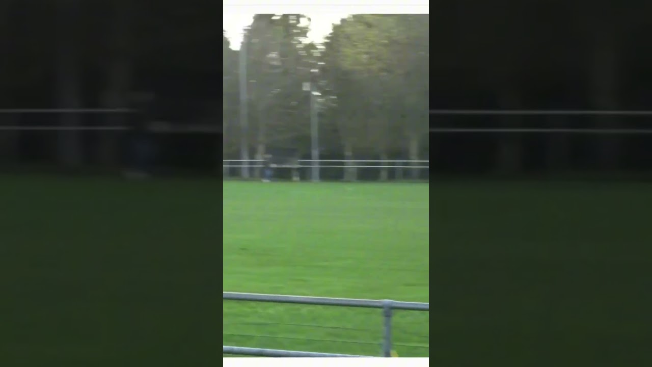 What a Score 💪🔥💚💛 