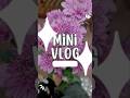 🧿🪬 #shortsfeed #shorts #tereishkmein #trending #viral #mini #minivlog