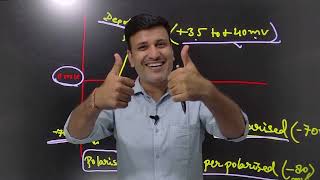 Generation and Conduction of Nerve Impulse