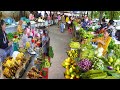 Combination of Cambodian Countryside Street Food and City Street Food