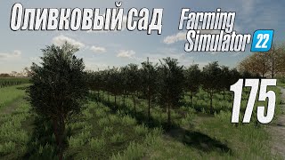 Farming Simulator 22 [карта Элмкрик], #175 Оливковый сад