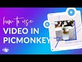 How to Use Video Clips in Your PicMonkey Designs!