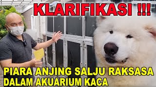 KLARIFIKASI !!! PIARA ANJING SALJU RAKSASA DALAM AKUARIUM KACA