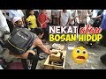 Nekat Masuk Ke Arena King Kobra | Ternyata Pemuda ini Punya Sesuatu