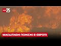 😥 Європу охопили масштабні пожежі через посуху / Португалія, Франція, Велика Британія, погода – ТСН