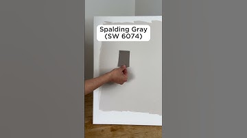Popular Gray Color Pairings