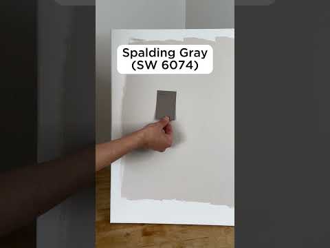 Popular Gray Color