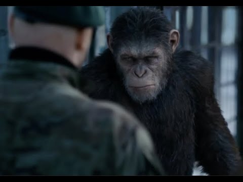Планета обезьян: Война (2017)