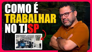 COMO É TRABALHAR NO TJSP- DIA A DIA DO ESCREVENTE