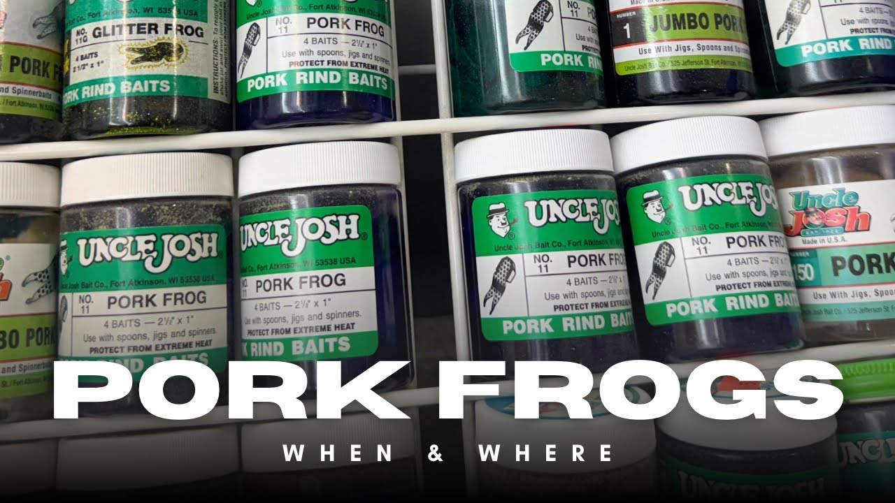 Трейлер «Забытого джига»! У свиных лягушек есть своё время и место!