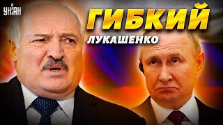 Грыгорыч, пошел! Лукашенко прогнулся под Путиным и открыл второй фронт – @Роман Цимбалюк