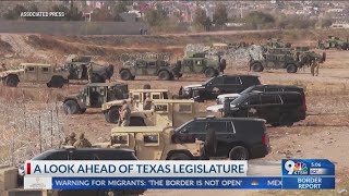 A look into Texas new legislature