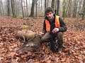 Driven hunt in Belgium - Battue dans les Ardennes part two