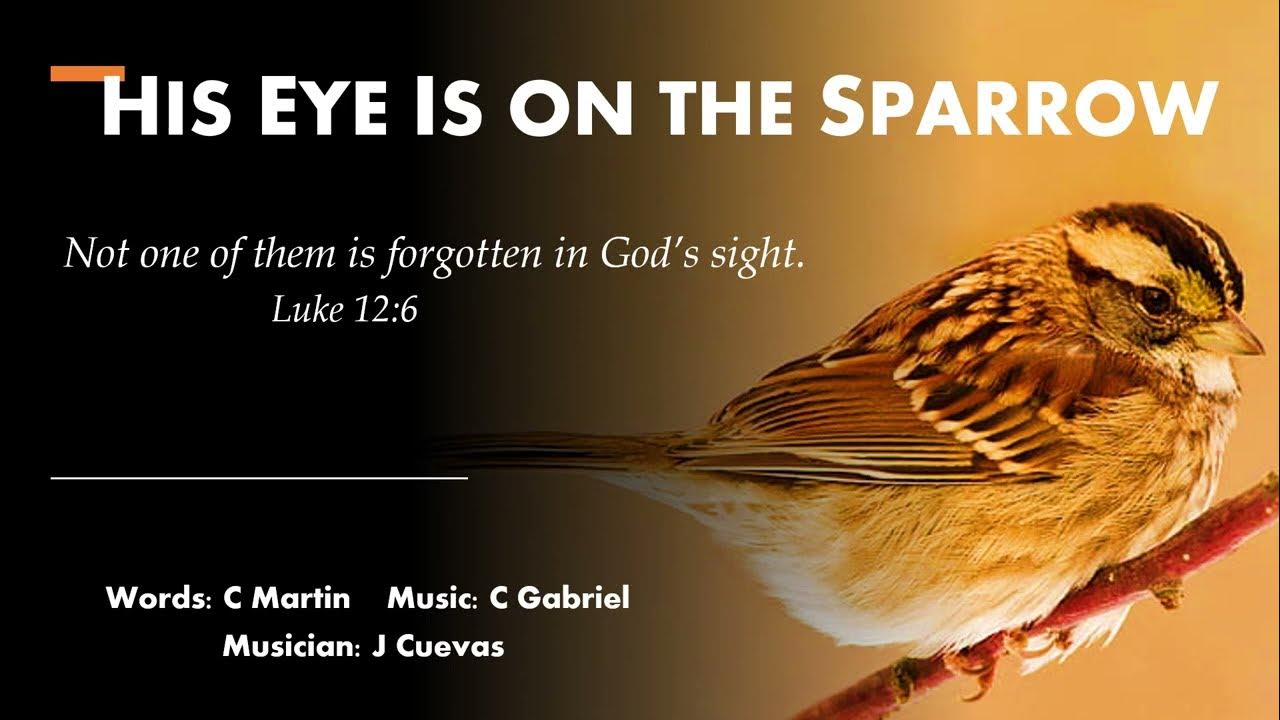 His Eye Is On The Sparrow Selah HIS EYE IS ON THE SPARROW (Accompaniment with lyrics) - YouTube