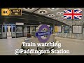 [4K] London 🇬🇧 Train spotting at Paddington station | Elizabeth line announcements