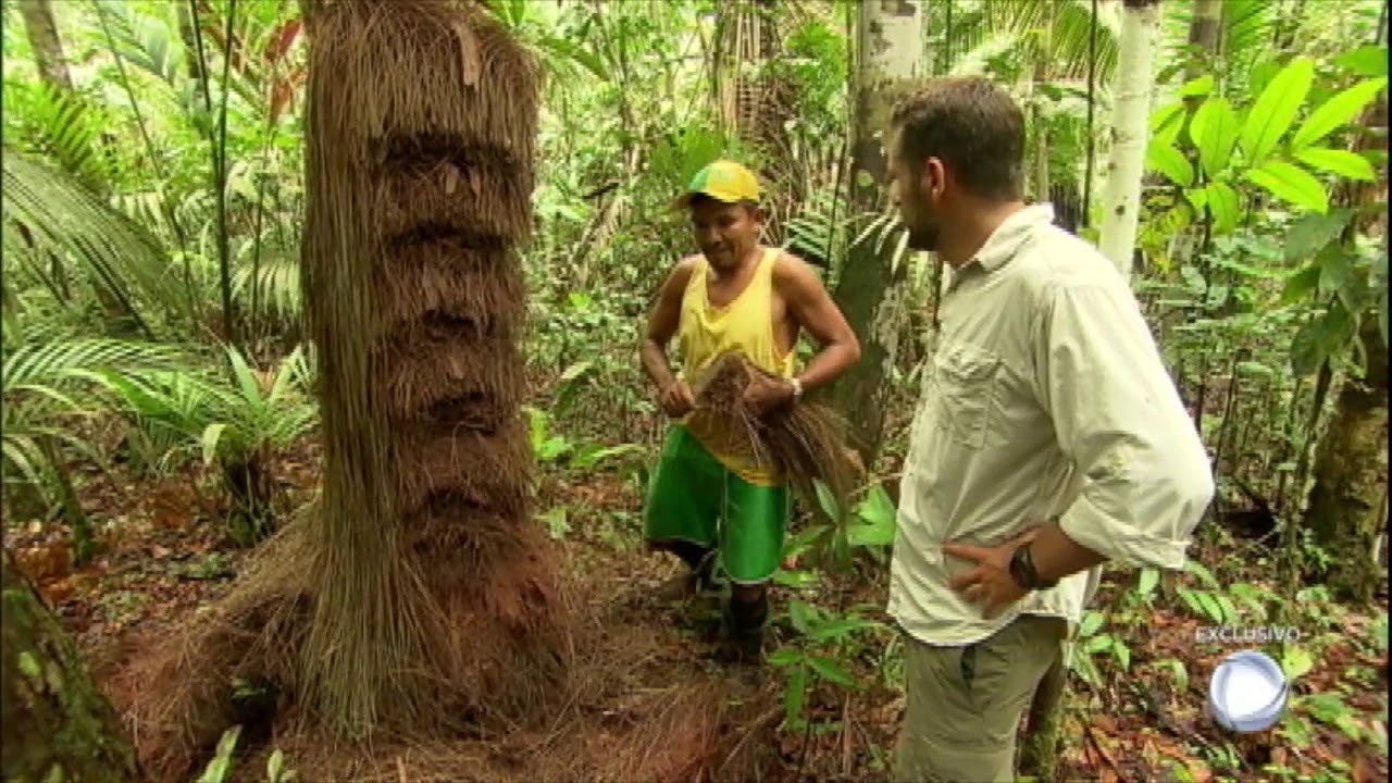 Equipe do Câmera Record visita um dos piaçabais mais isolados da Amazônia