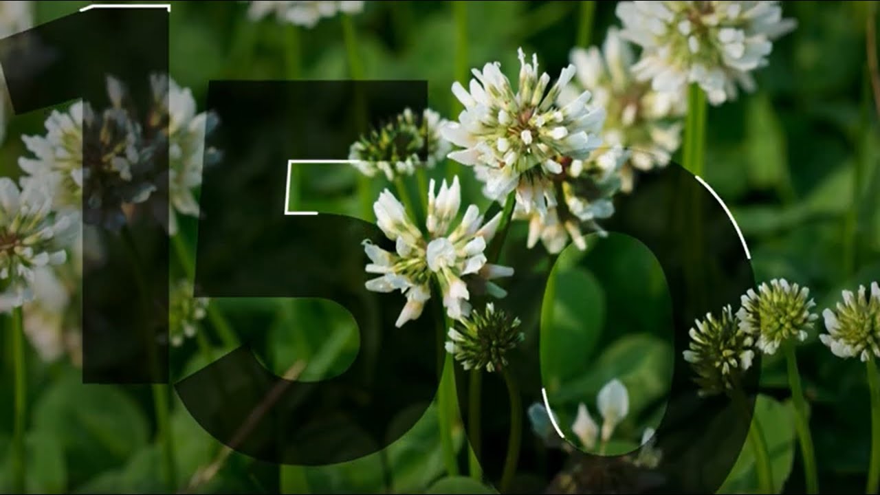 Introducing NovaGraz Herbicide: By The Numbers 150