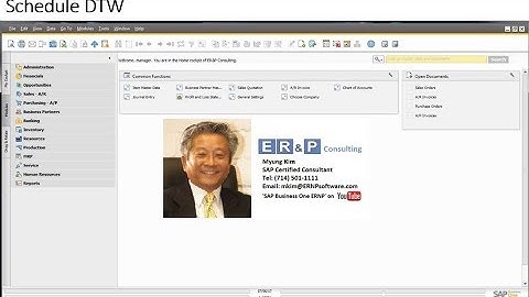SAP Business One - Schedule DTW