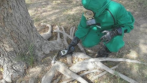 Basic CBRN Incident Response Training