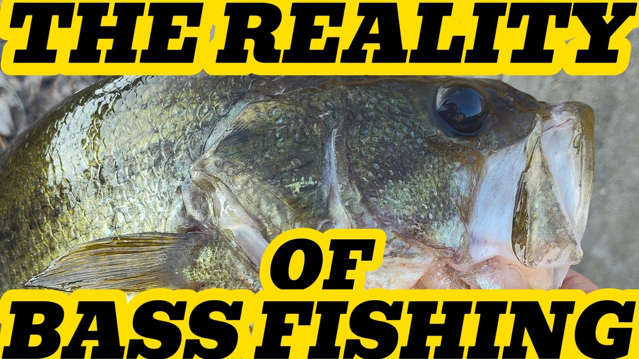 When BASS Fishing From The BANK is BRUTAL!