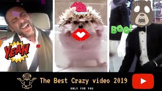 Funny Videos - 2019 - Try not to laugh - Epic - Fail - (best video of the week) | Crazy Fun №4