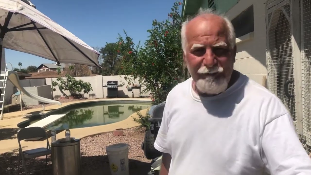 طيور حمر في امريكا