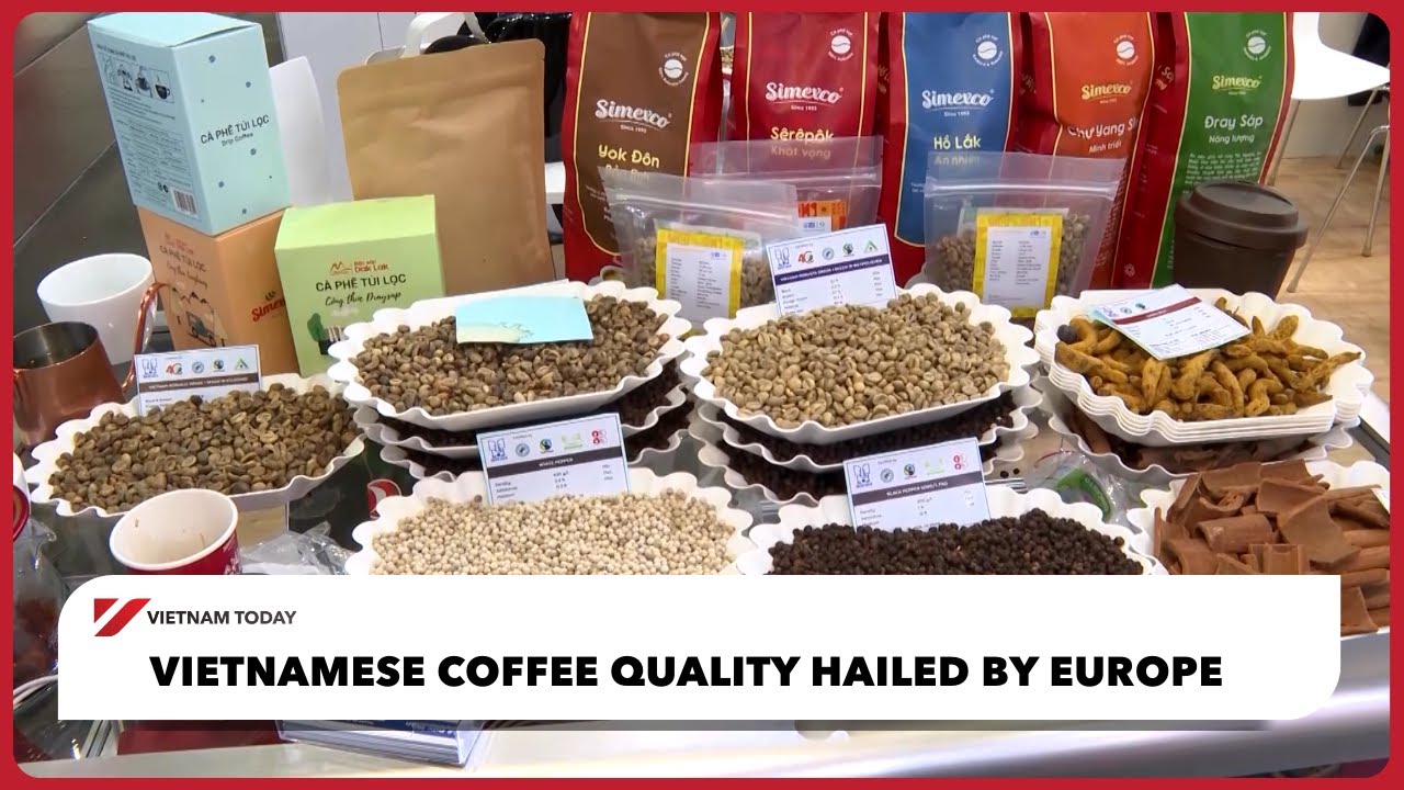 Качество вьетнамского кофе высоко оценено Европой | Vietnam Today