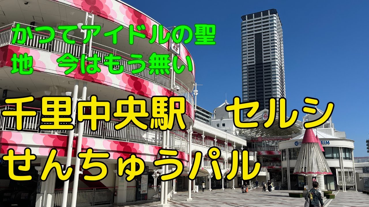 せん ちゅう パル