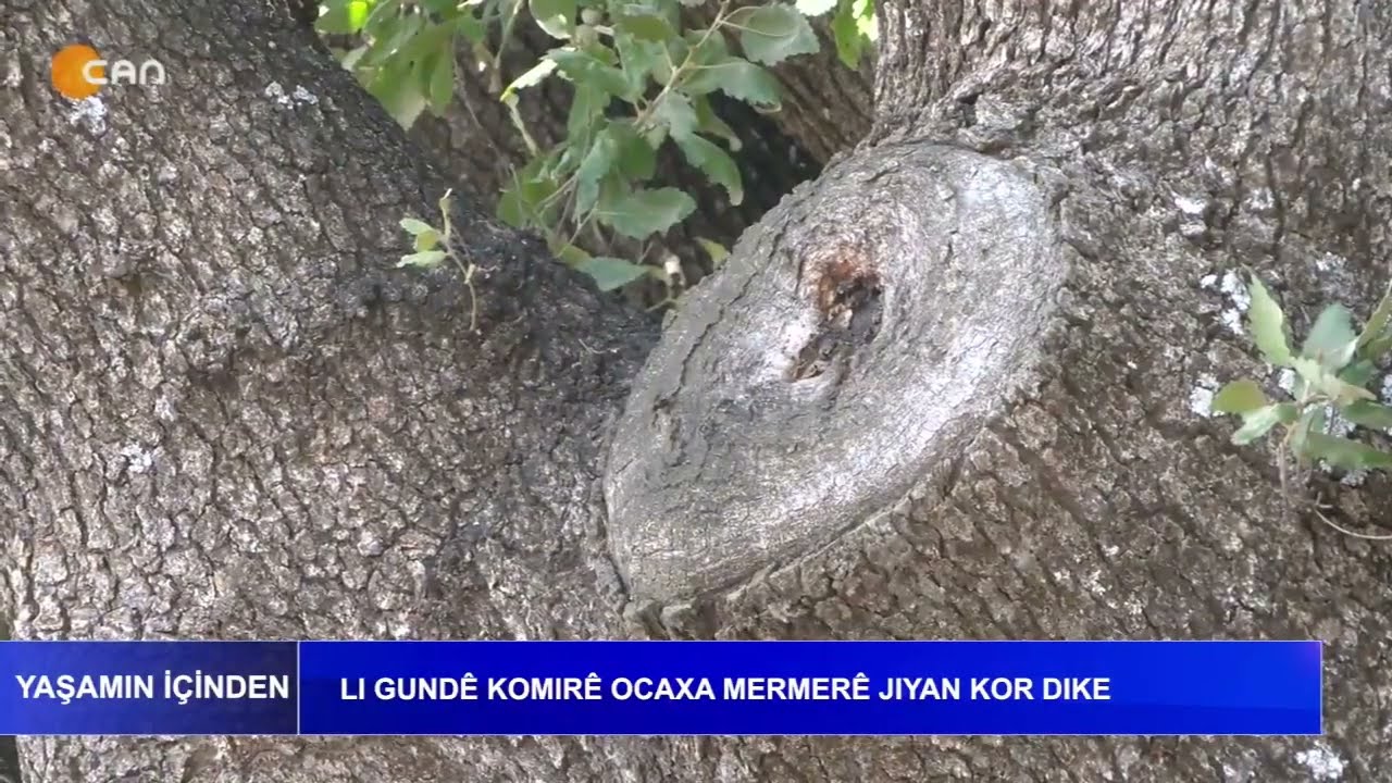 Lı Gundê Komıre Ocaxa Mermerê Jıyan Kor Dıke