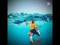 Roberto Carlos X Flying Fish Edit Soccerplayer Footballedit Flyingfish Robertocarlos Roberto Carlos X Flying Fish Edit Soccerplayer Footballedit Flyingfish Robertocarlos