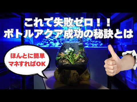 What is the secret to a successful bottle aquarium? We'll reveal the secret method that's easy to...