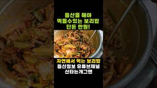 첩첩산중에 있는 유명한 보리밥집~ 순천 조계산 보리밥집
