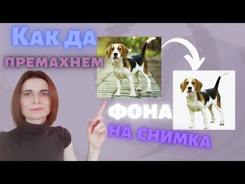 Как Да Премахнем Фона На Снимка Бързо, Лесно И Безплатно