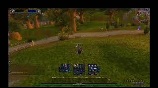 Cancelaura macro