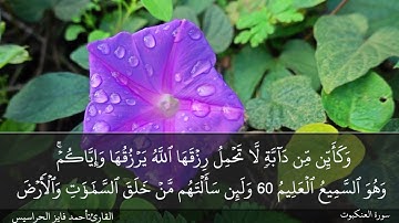 الصفحة 403 سورة العنكبوت بصوت القارئ المهندس أحمد فايز الحراسيس