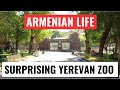 ARMENIA LIFE: Surprising Yerevan Zoo and update on Sushma