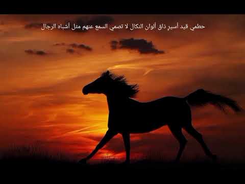 نشيد صبحيهم انشاد ابو أسيد والمثنى