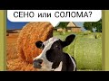 Толстые коровы! Сено или СОЛОМА? Привезли солому! Привезли доски! Коровы как смешарики!