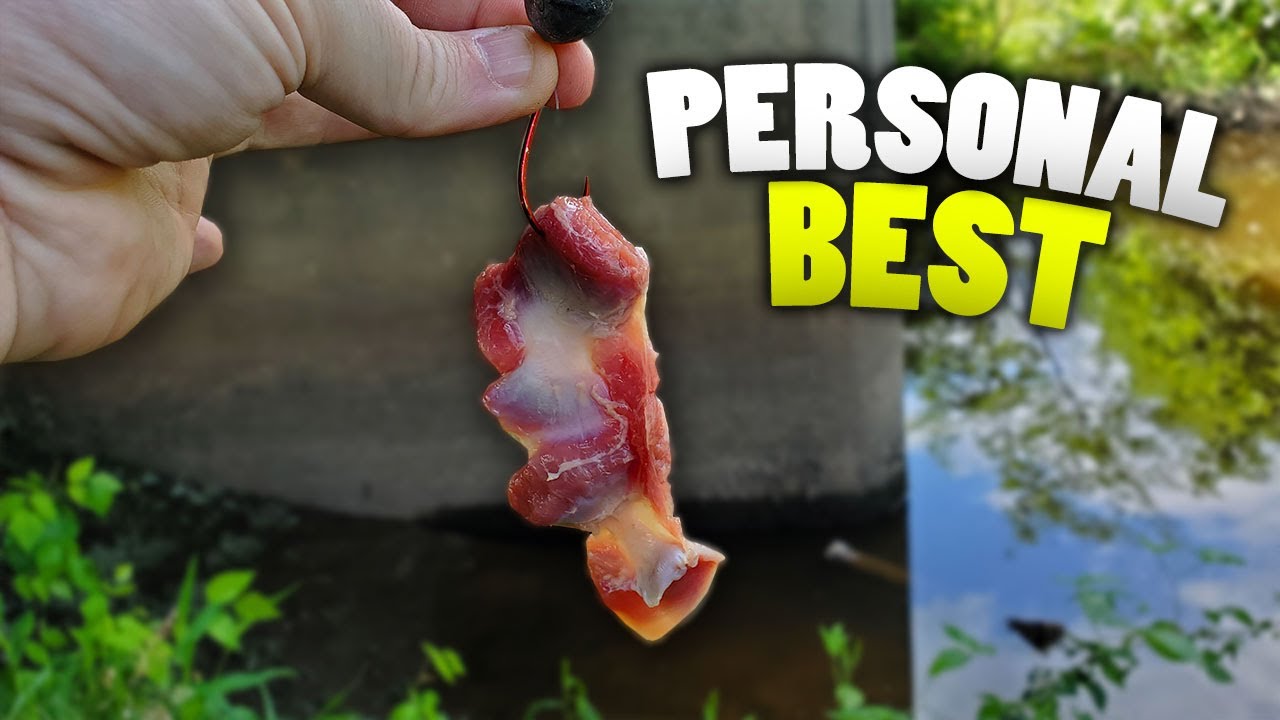 Chicken Gizzards Catch A NEW PERSONAL BEST!