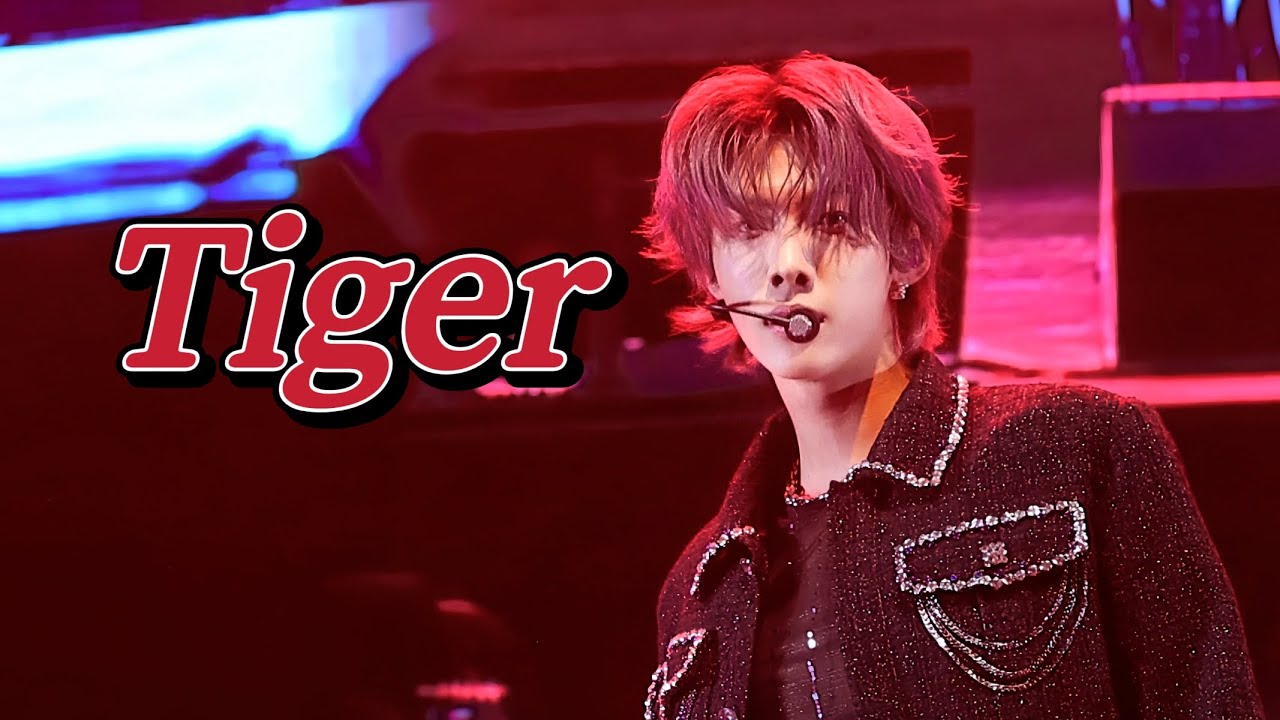 250405 엔싸인 n.ssign 1st concert in Seoul 2부 로빈 Tiger 직캠 4K FANCAM