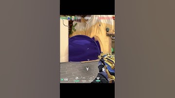 triggerbot  #valorant #valorantclips #fluke