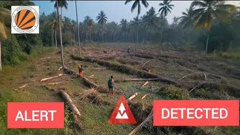 Role of technology in preventing illegal deforestation in India