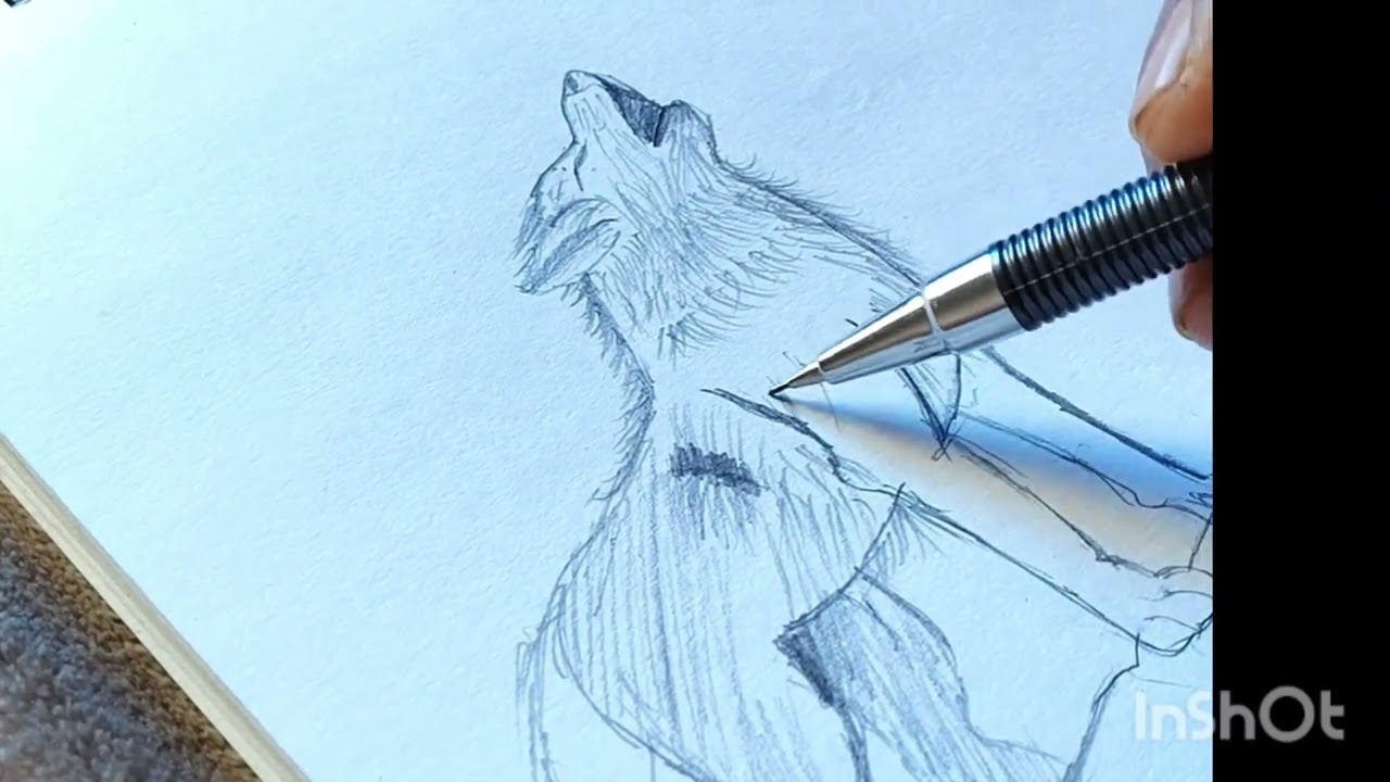 Drawing of animal wolf🐺 artistic@dixit