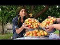 Harvesting Pears and Making Jam and Cooking The  Best Chicken Recipe