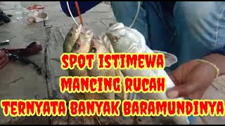 sarang barramundi di rumpon semarang