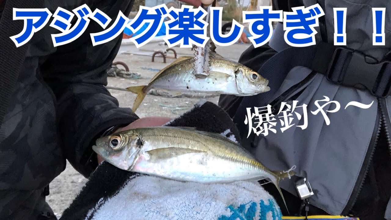 夫婦でアジング 夕まずめ時合にハマってアジ爆釣 Youtube
