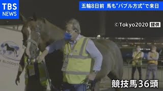五輪８日前 馬も「バブル方式」で来日